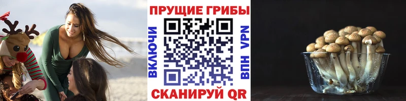 Галлюциногенные грибы прущие грибы  Купить закладки  Ханты-Мансийск 