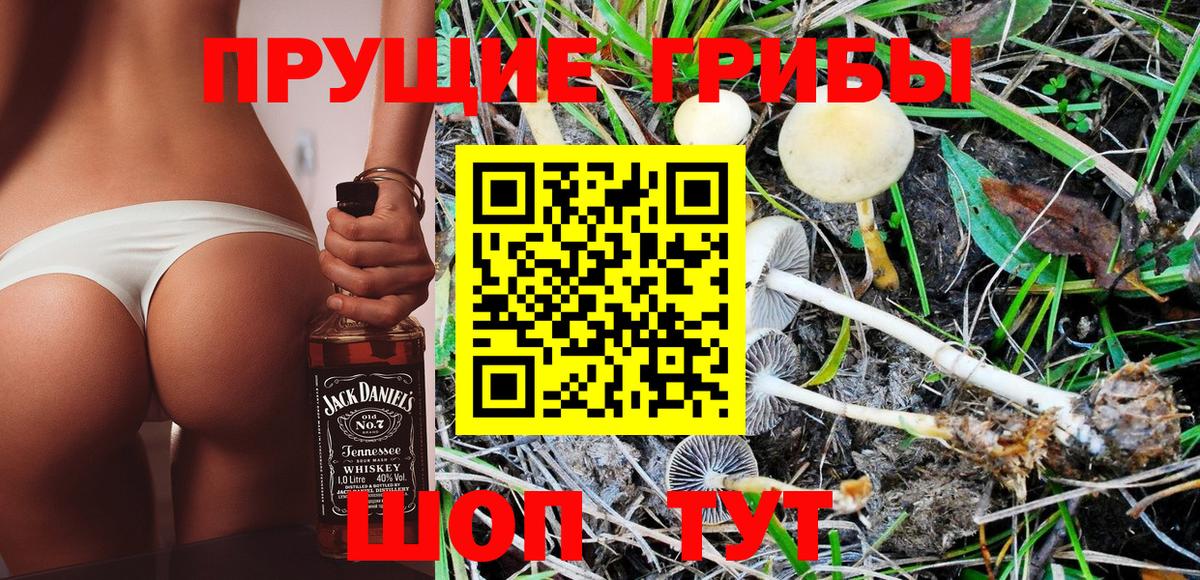 наркотики  Ханты-Мансийск  Псилоцибиновые грибы Cubensis  Псилоцибиновые грибы Psilocybe 